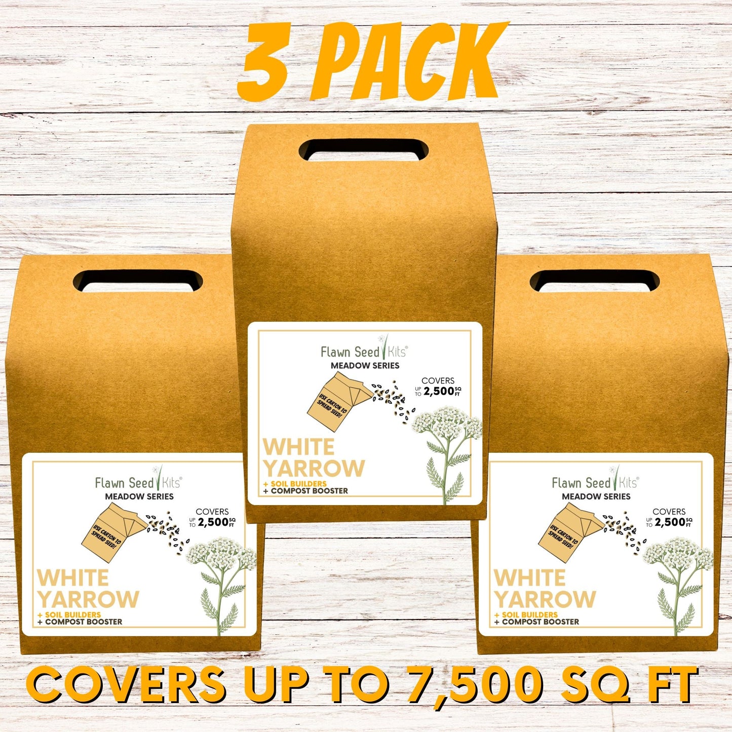 White Yarrow Eco-Friendly Seeding Kit - Flawn Seed Kits ~ Blessings Grow Meadows