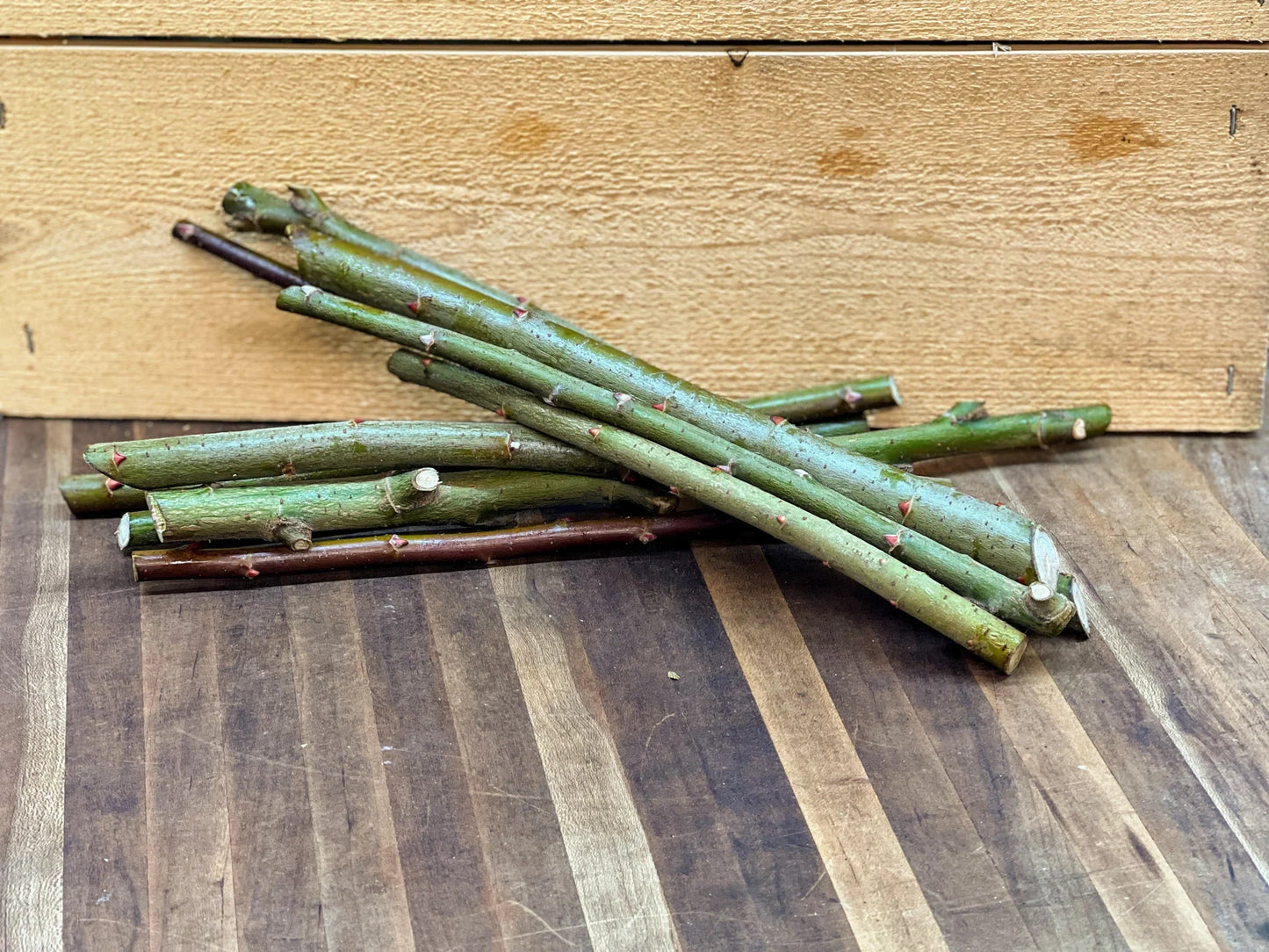 Bundle of Scarlet Curly Willow branches from The Farm On Central, showcasing vibrant, curly willow twigs for decorative or landscaping use.