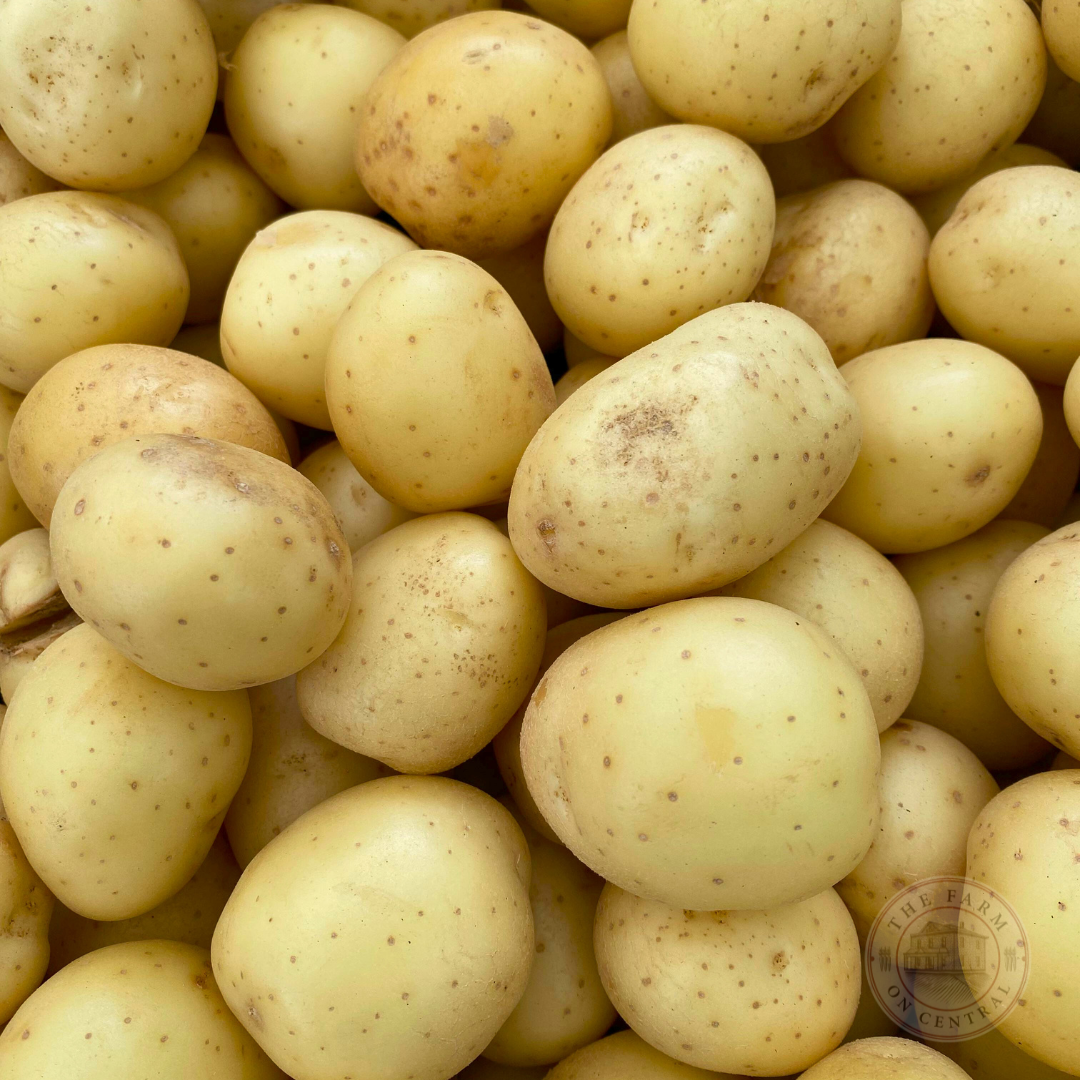 Yukon Gold Potato (Free Shipping)