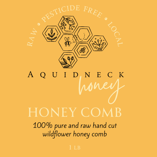 Small New England hand-cut honey comb from Aquidneck Honey with golden honey inside, showcasing natural beeswax and honey layers.