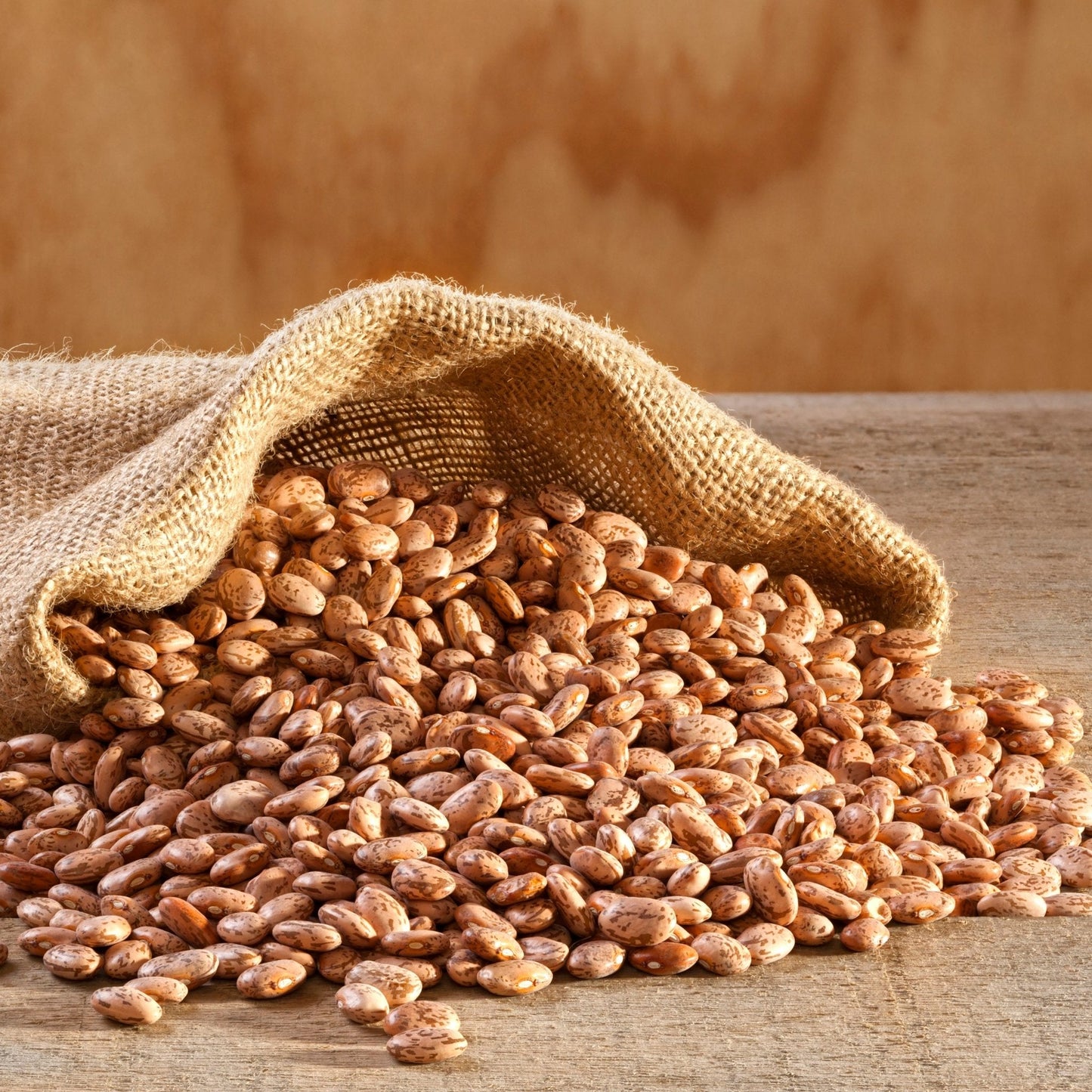 Dried Pinto Beans 4 Gallon Pail, 311 Servings - Blessings Grow Meadows