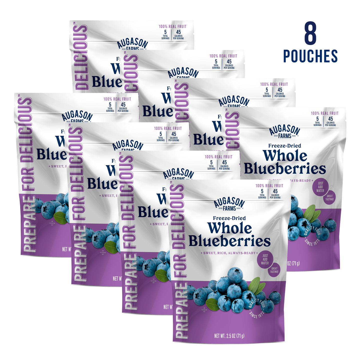 Freeze Dried Whole Blueberries Pouch, 5 Servings - Blessings Grow Meadows