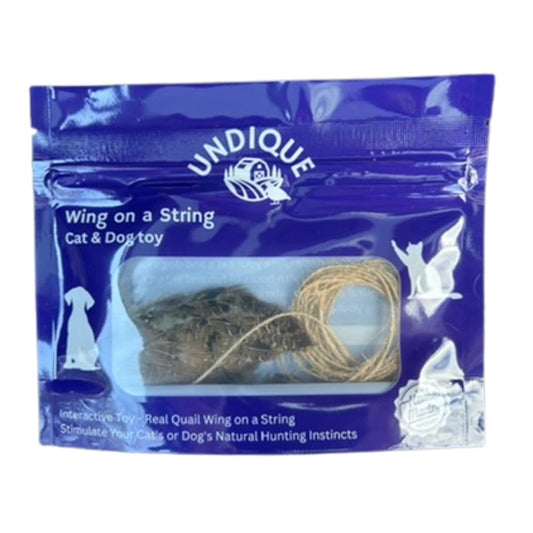 Real quail wing cat toy from Quailz, featuring bird scent for interactive play and hunting training for cats and dogs.