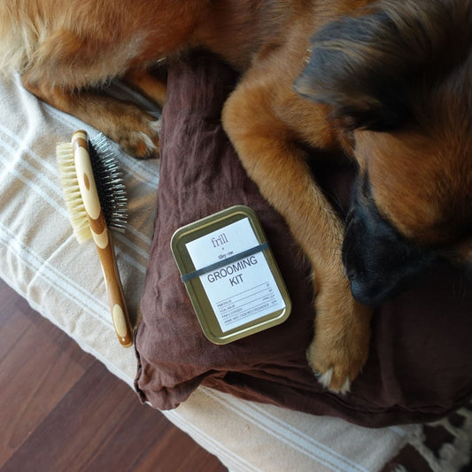 Two-Sided Pet Brush – Bristle & Wire for Shedding & Detangling - Tilley + Me ~ Blessings Grow Meadows