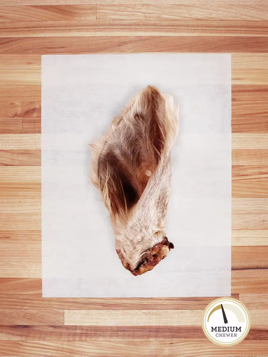 Whole hairy beef ear chew from Farm Hounds, natural dog treat with textured surface and visible hair for chewing and dental health.