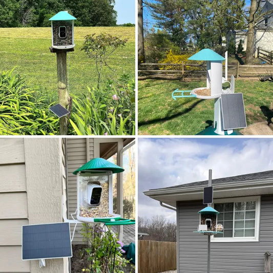 Birdfy solar-powered smart bird feeder with camera in blue, featuring a solar panel and bundle components, designed for bird watching.