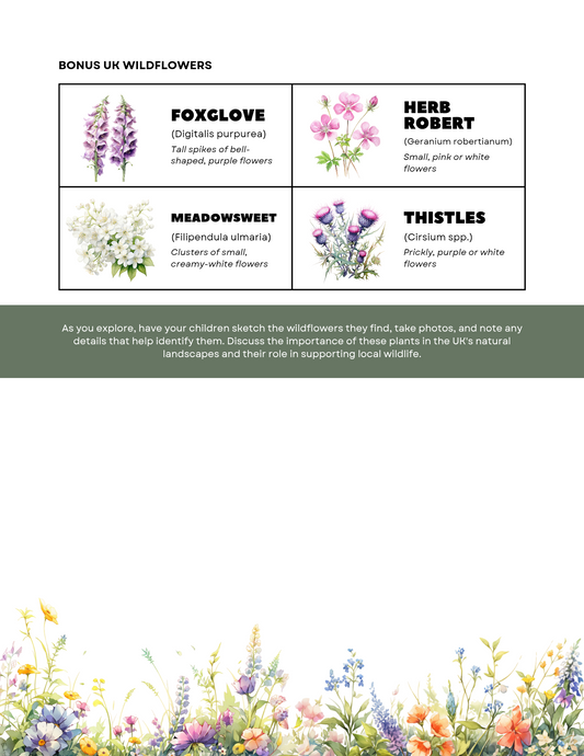Free printable wildflower scavenger hunt ebook by Blessings Grow Meadows, showing colorful wildflower illustrations and scavenger hunt clues.
