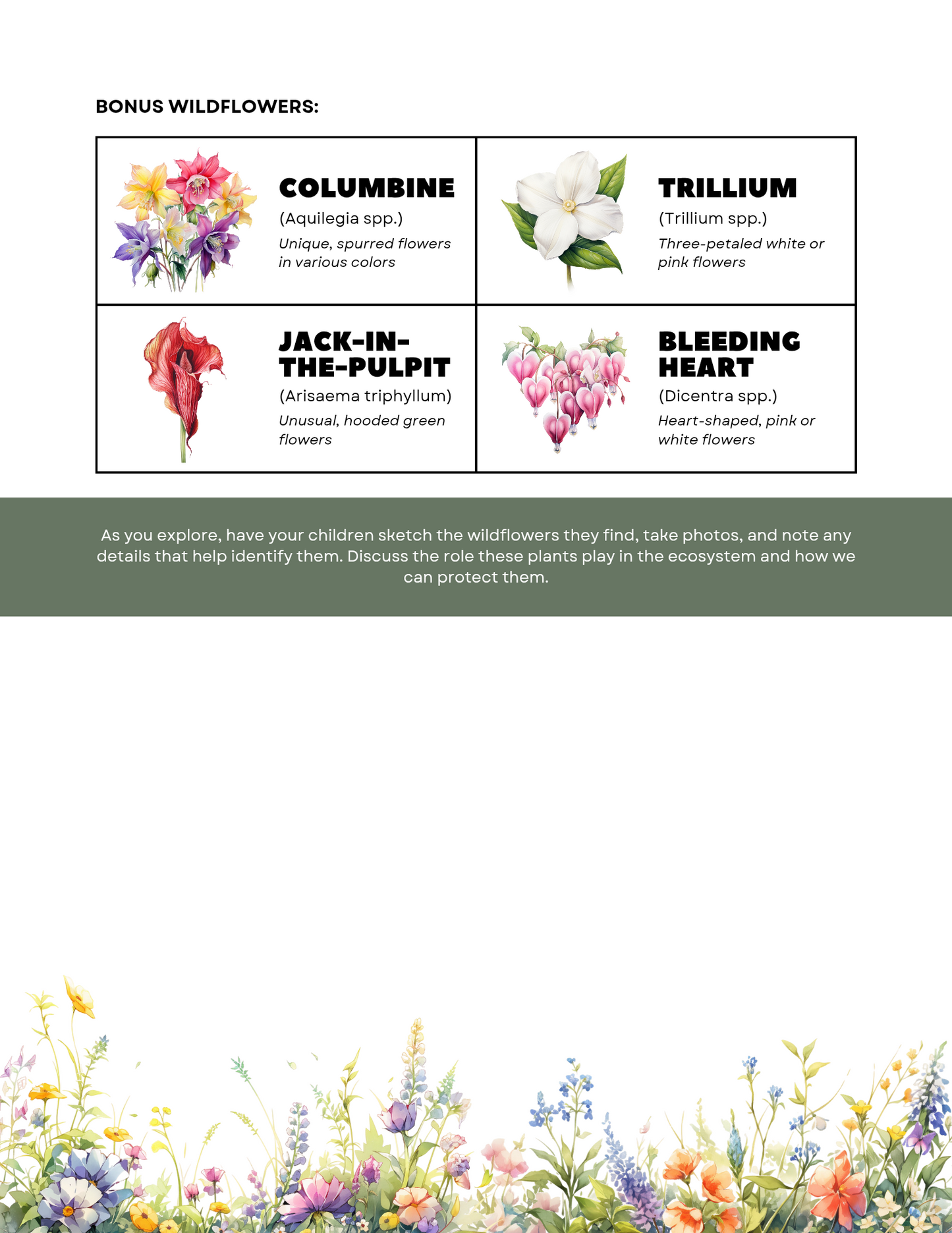 Free printable wildflower scavenger hunt ebook from Blessings Grow Meadows, featuring colorful wildflower illustrations and activity pages.
