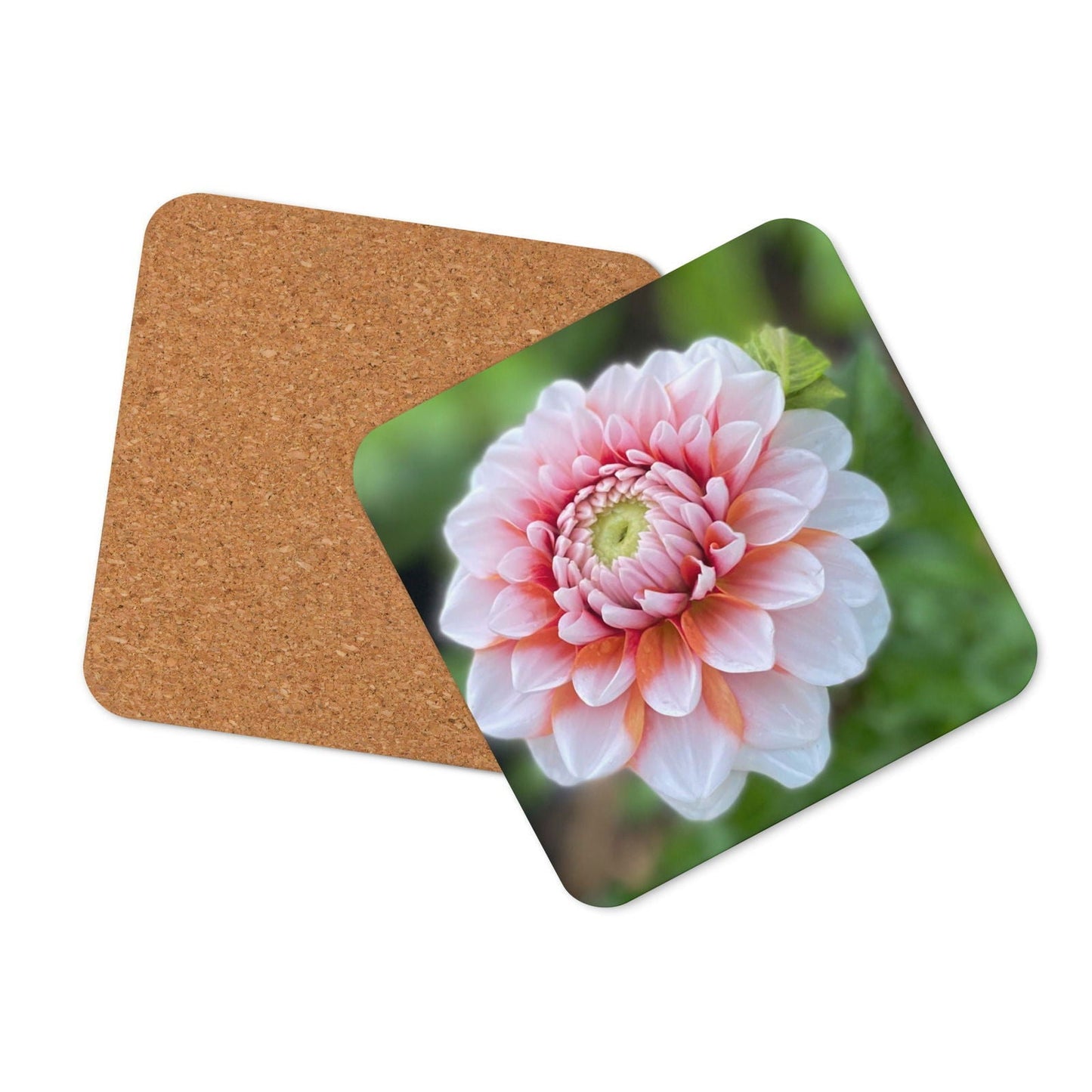 Cork-back coaster featuring Original Dahlia Photography by Blessings Grow Meadows, showcasing vibrant dahlia flower artwork.