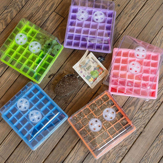 Blue Bootstrap Farmer 1010 seed starter tray with humidity domes, ideal for backyard gardening seed propagation.