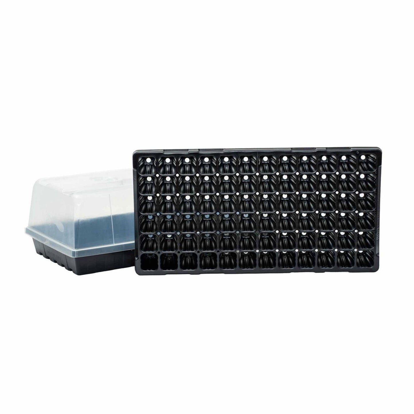 Plastic seedling tray and propagator with a clear dome lid showing multiple individual cells and drainage holes