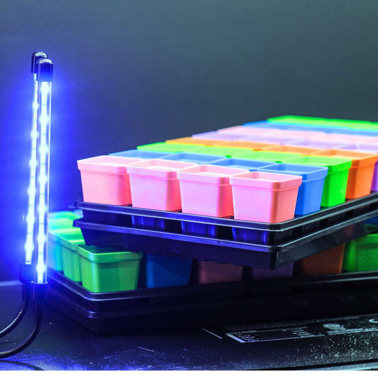 Product Photography Colorful plastic seedling trays with vibrant pink, green and blue pots under a blue LED grow light