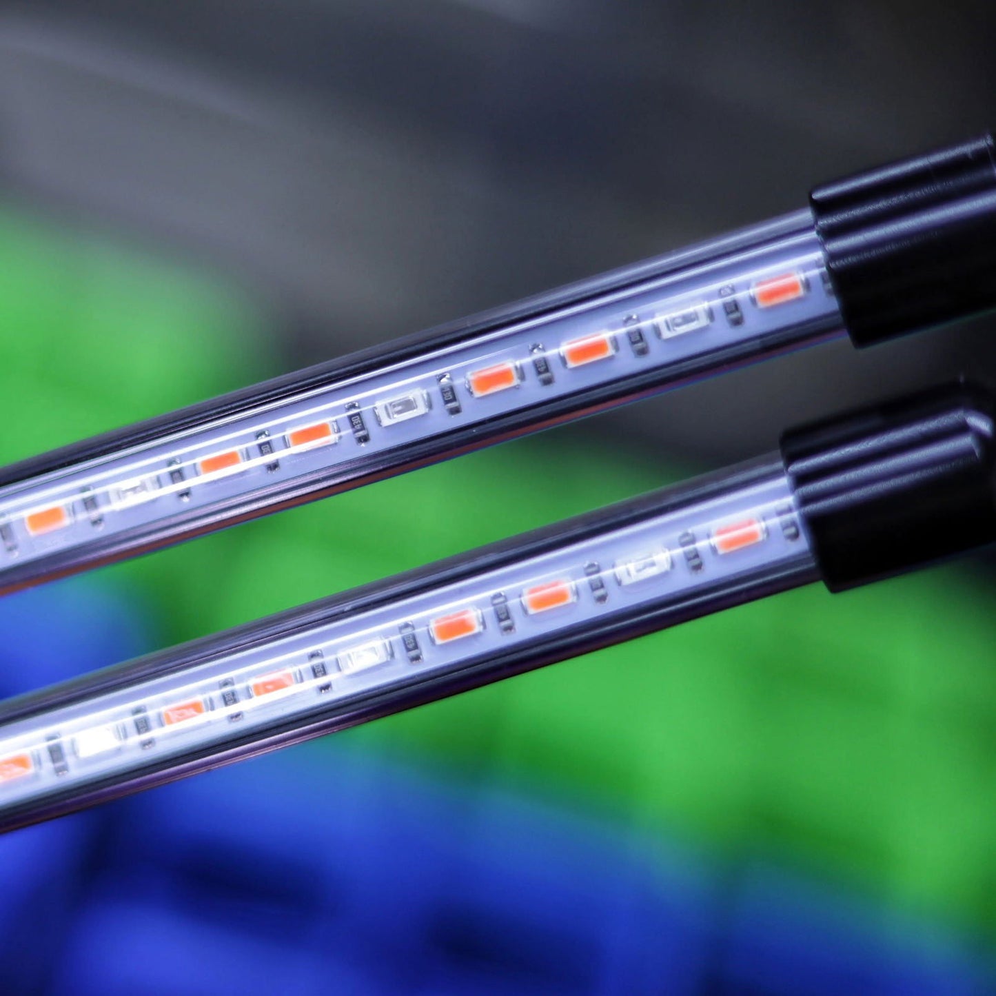 Close-up photograph showing two LED light strips with white, orange, and amber LEDs against a blurred background of blue and green hues