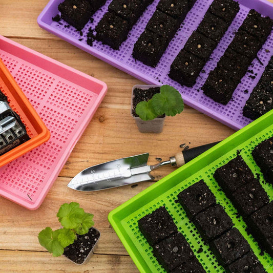 Multicolor Bootstrap Farmer Soil Blocking Starter Kit with 1020 tray for seedling propagation and plant growth.