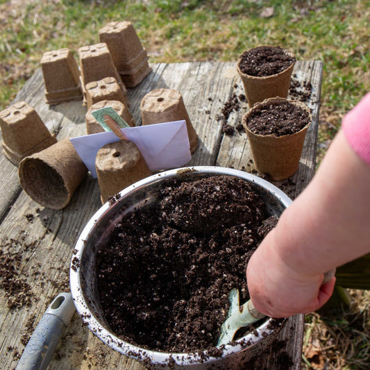 Set of three Bootstrap Farmer CowPots® #3 Round biodegradable seed starting pots on a white background.