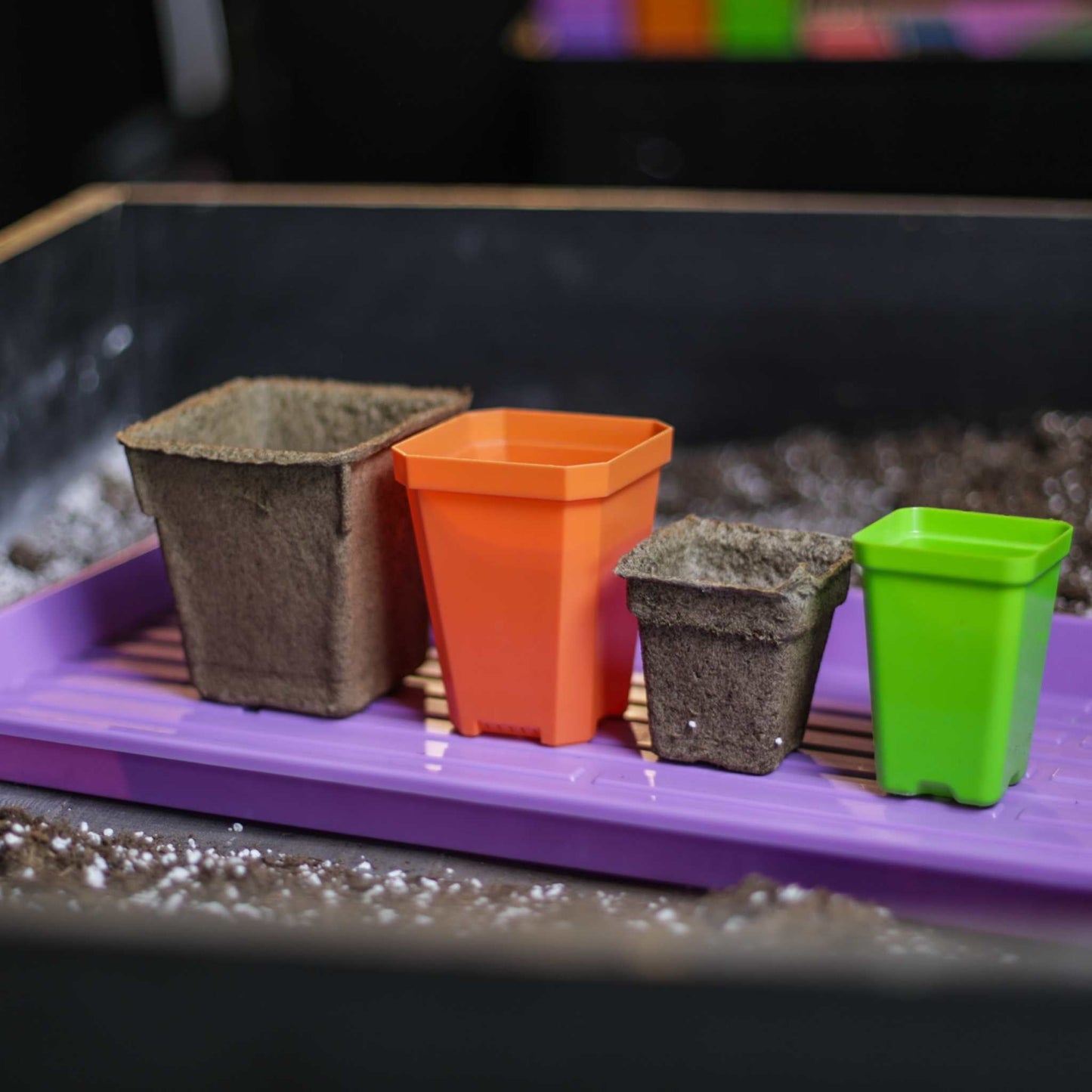 Bootstrap Farmer CowPots® #3 Square biodegradable planting pots stacked for planting or transplanting.