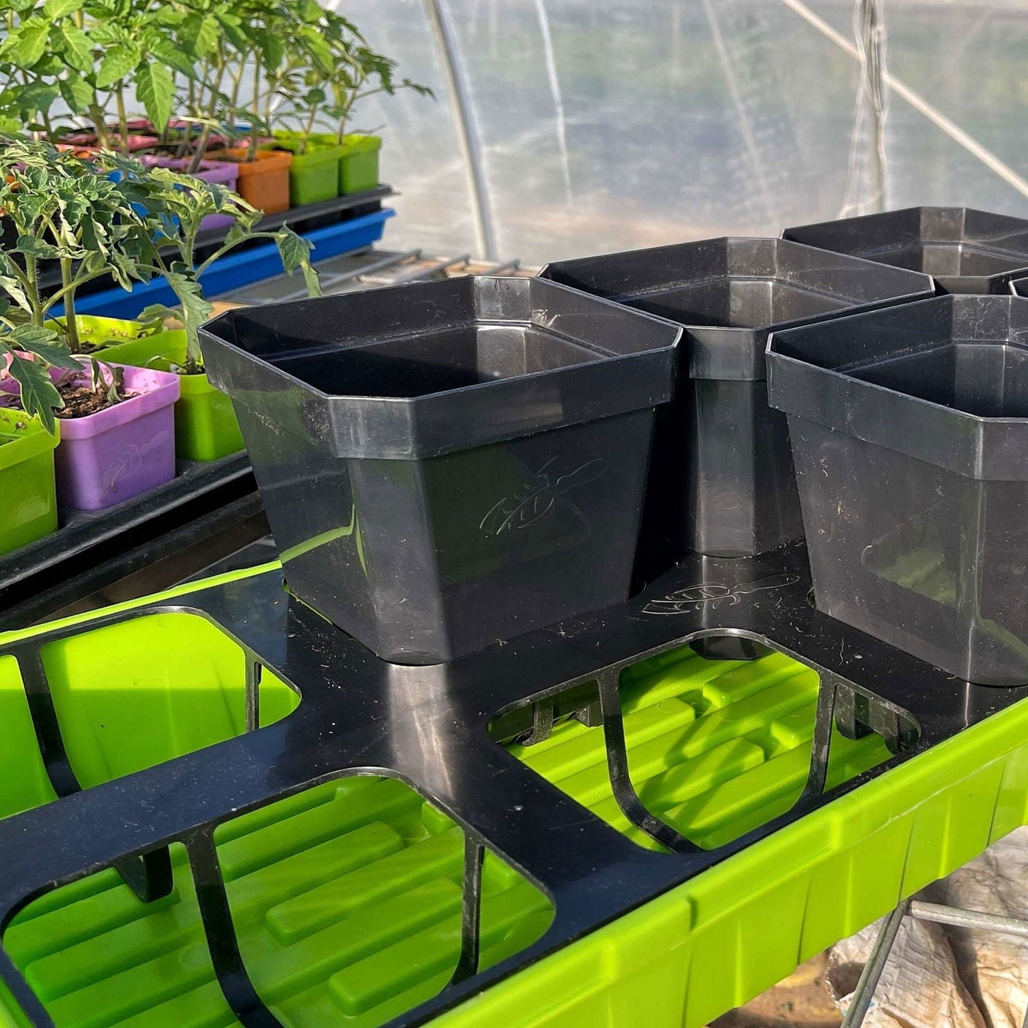 Bootstrap Farmer insert tray designed for 5-inch pots, ideal for organized seed starting and plant propagation.