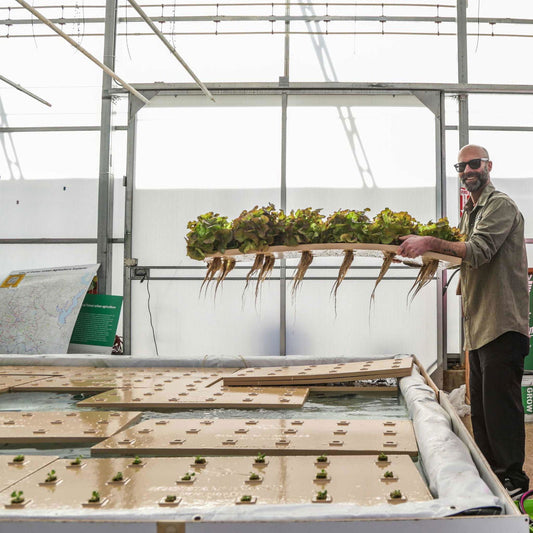Deep Water Greens Raft by Bootstrap Farmer, floating hydroponic raft with lush green leafy vegetables on water.