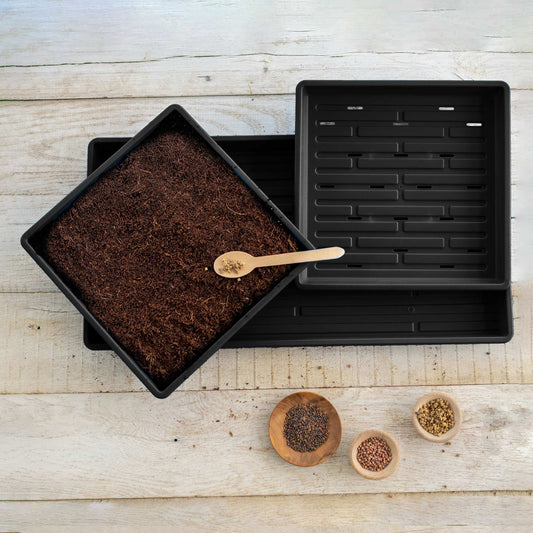 Black Bootstrap Farmer 1010 Microgreens Kit with LED grow light, compact indoor gardening system for fresh microgreens.