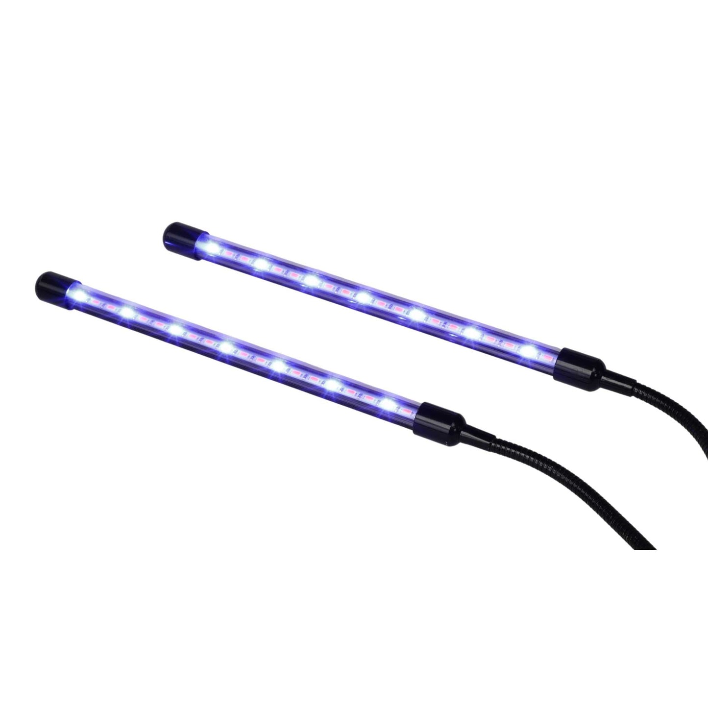 Black Bootstrap Farmer 1010 Microgreens Kit with LED grow light for indoor microgreens cultivation.
