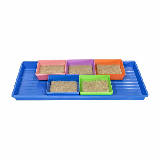 Plastic tray with colorful square containers filled with light brown coco coir mats for planting.