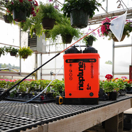 A Kwazar Neptune Commercial 15L Backpack Sprayer by Bootstrap Farmer, in bright orange, rests on a table in the greenhouse. Surrounded by vibrant plants, it features manual and electric options with an adjustable spray nozzle. Overhead, hanging baskets are filled with lush greenery and pink blooms.