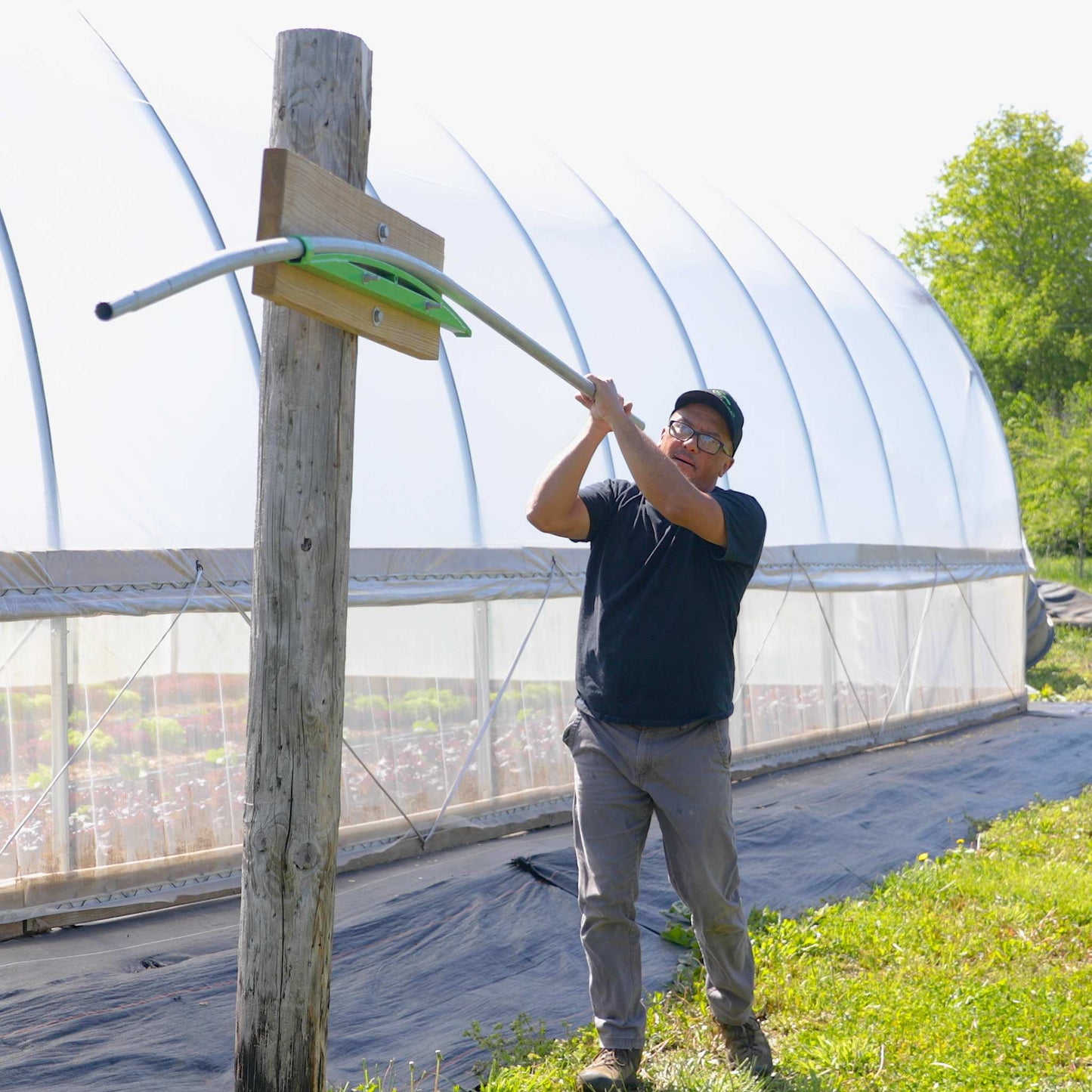DIY Gothic Greenhouse Kit by Bootstrap Farmer featuring sturdy frame, clear panels, and Gothic architecture design.