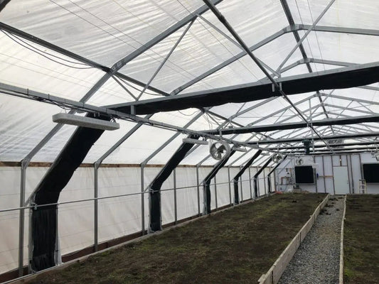 Open UV greenhouse plastic by Bootstrap Farmer, 6 mil high diffusion greenhouse plastic for enhanced light distribution.