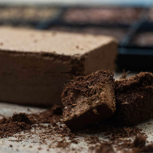 Bootstrap Farmer Coco Coir Brick for growing media, compressed 3lb natural coconut fiber suitable for gardening and plant propagation.
