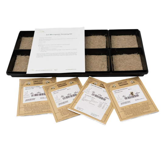 Product photography of a True Leaf Market 5x5 microgreen growing kit containing six biodegradable coir inserts, four seed packets of organic cabbage, radish, broccoli, and salad mix, and instructions for growing microgreens in a dedicated space
