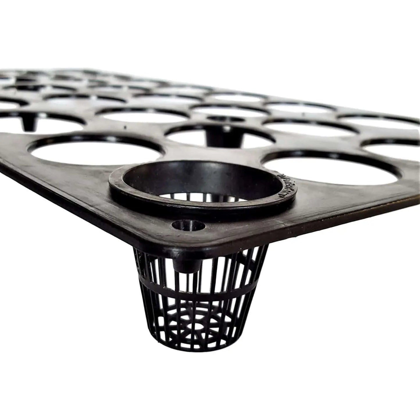 Close-up of a black plastic hydroponic tray showing multiple planting holes and a net pot with detailed ribbed texture and a slightly glossy surface