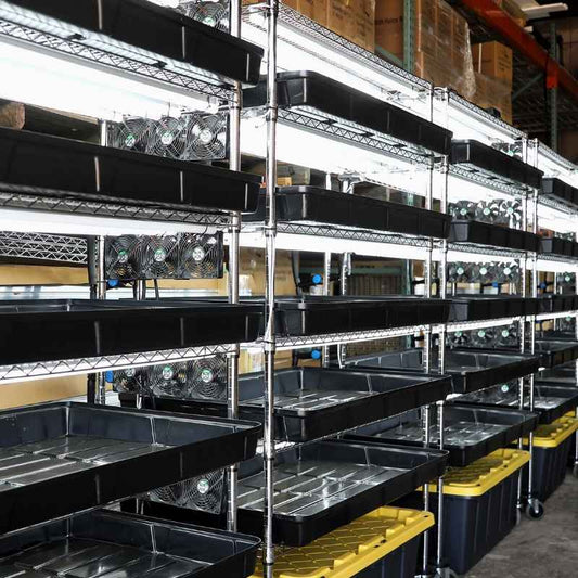 Indoor hydroponic grow system featuring multiple tiers of black plastic trays bright LED grow lights and cooling fans in a warehouse setting