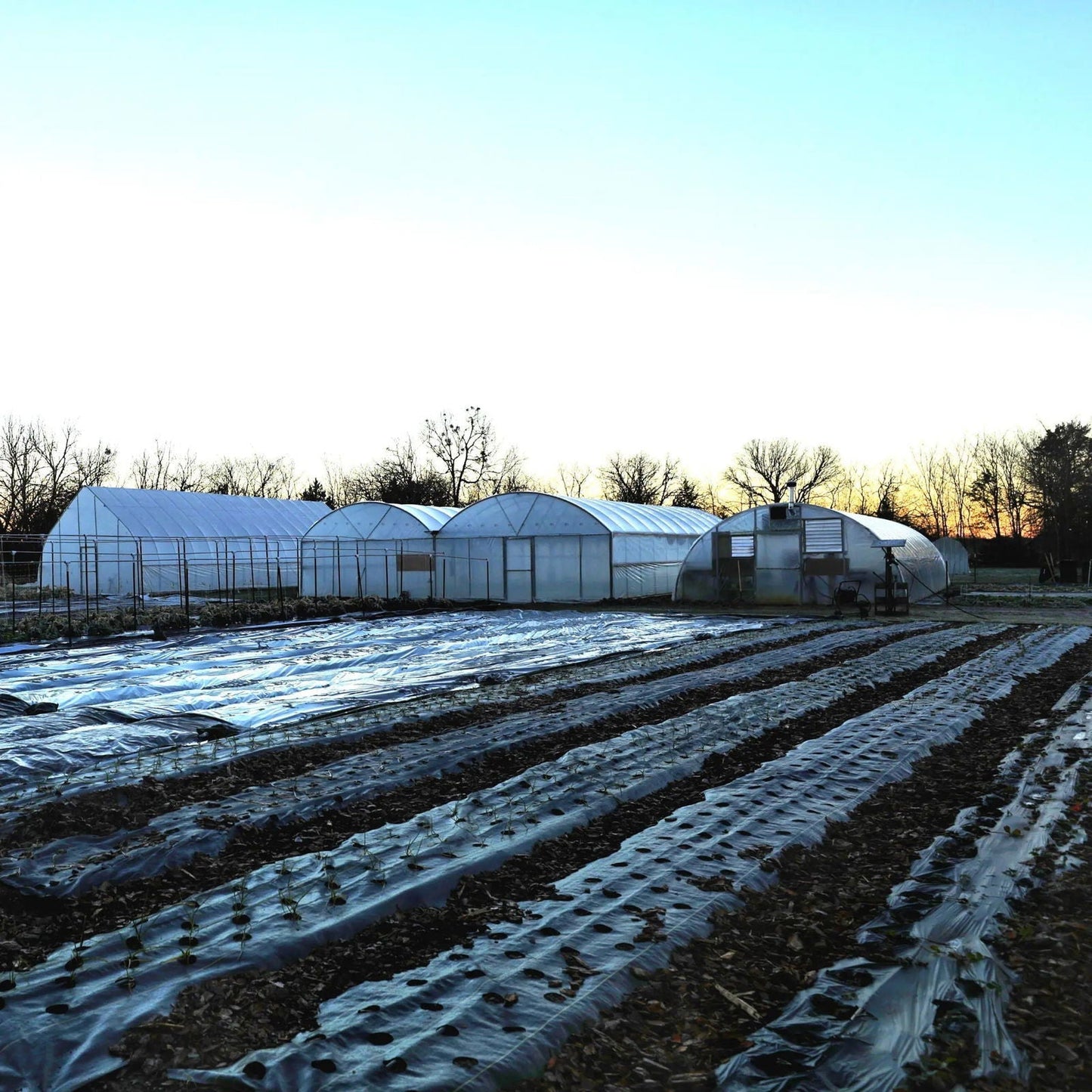 Heavy-duty Bootstrap Farmer landscape fabric, 4.5 oz. woven geotextile for weed control and soil separation in gardening.
