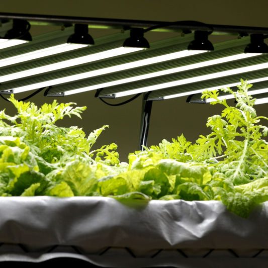 Bootstrap Farmer dual-spectrum 80W LED grow light with adjustable panels for indoor plant cultivation.