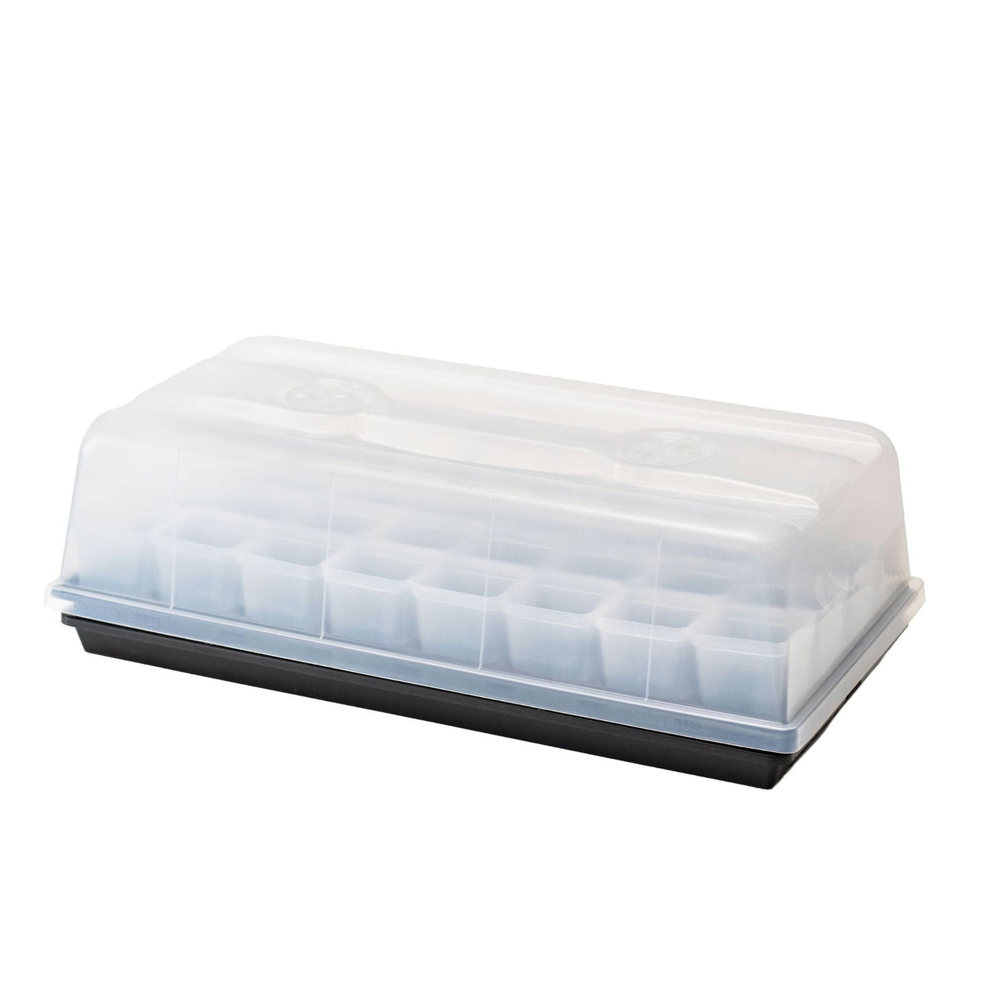 Plastic propagator with twenty-four individual cells a clear dome lid and a black base showcasing its functionality for seed starting