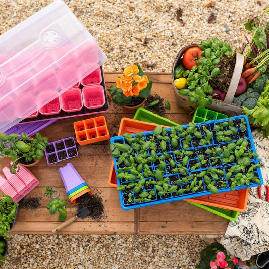 Colorful Bootstrap Farmer pots with humidity domes from the Ultimate Backyard Gardener Bundle, ideal for starting garden seedlings.