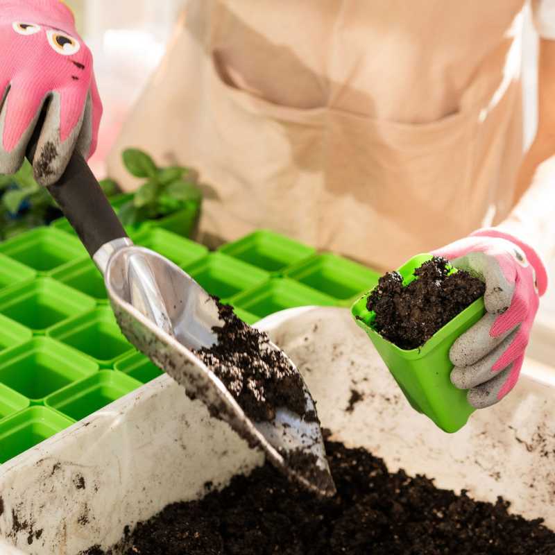 Photograph showing hands in pink gloves using a metal scoop to fill lime green seedling pots with dark brown soil in a greenhouse