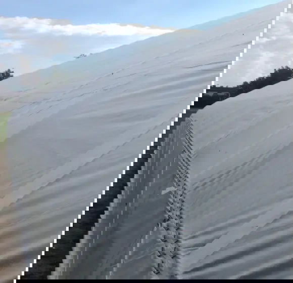 Batten Strap - Blessings Grow Meadows -