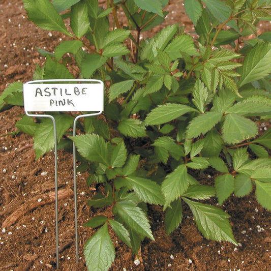 Set of 10 Luster Leaf Classic Impressions Garden plant labels in zinc or copper with Bootstrap Farmer branding, ideal for garden marking.