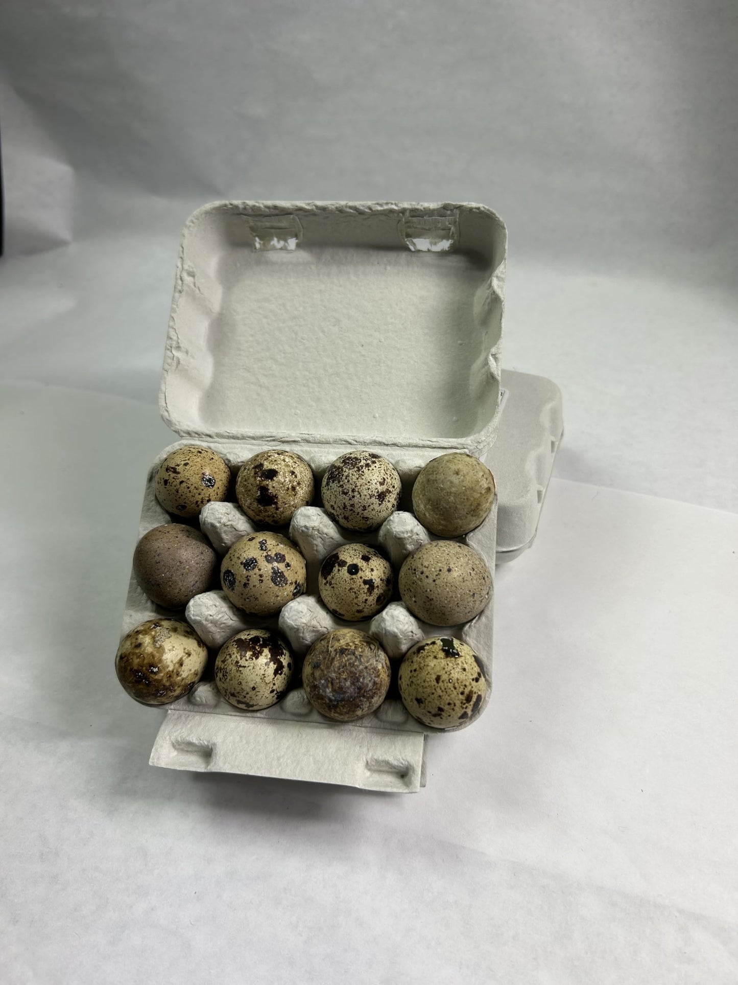 Fresh quail eggs from the US, small and speckled, laid by Quailz.com by Undique LLC, displayed in a natural setting.