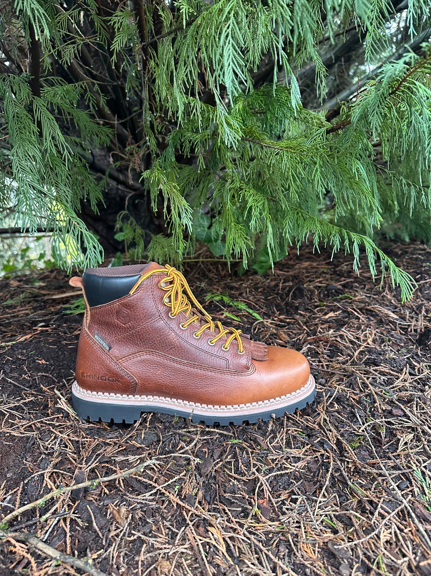 Chinook® Logger 6-inch men's waterproof work boot in brown, with rugged leather upper and sturdy sole for outdoor work.