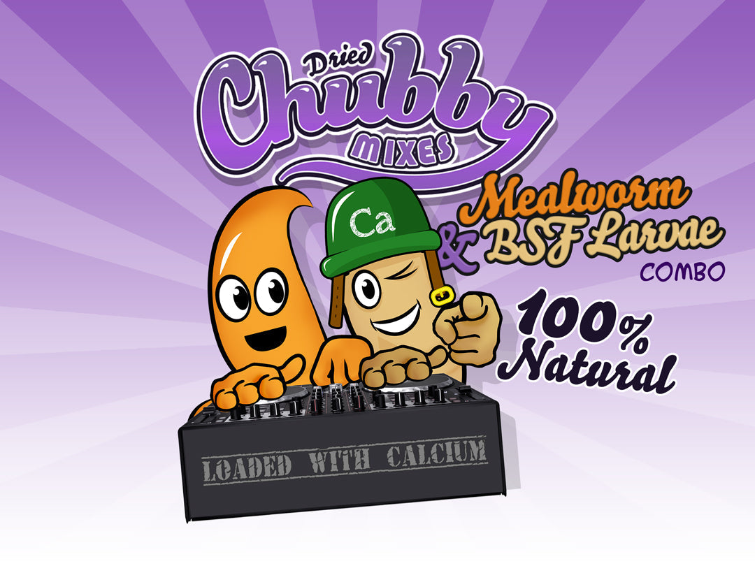 2lb Chubby Mix from Chubby Mealworms USA featuring mealworms and black soldier fly larvae combo in a clear container.