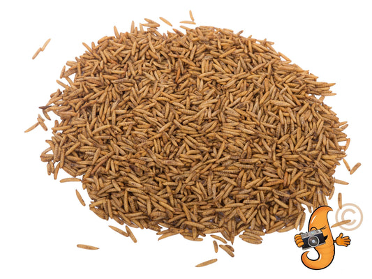 8lb bag of Chubby Dried Black Soldier Fly Larvae, Dried BSFL by Chubby Mealworms USA, showing the product in a sealed package.