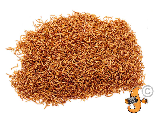 5 lbs Chubby Dried Mealworms by Chubby Mealworms USA, high-protein dried mealworms for bird and pet feeding, shown in a clear package