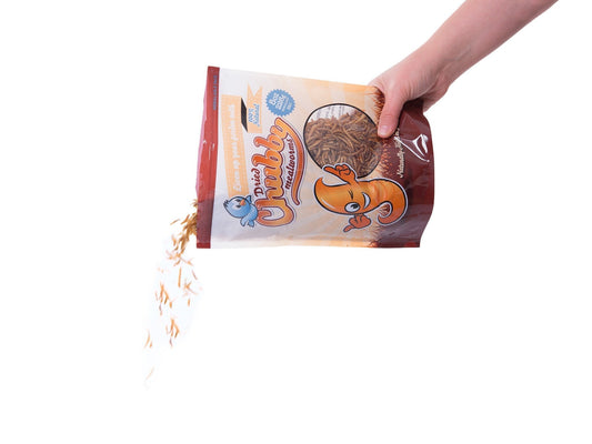 Chubby Mealworms USA 4lb bag of dried mealworms, displayed in a clear container, ideal for pet or bird feed.