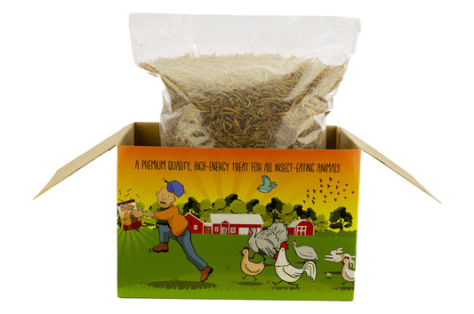 Four 3lb boxes of Chubby Dried Mealworms by Chubby Mealworms USA, ideal for bird and poultry feed, in limited edition packaging.