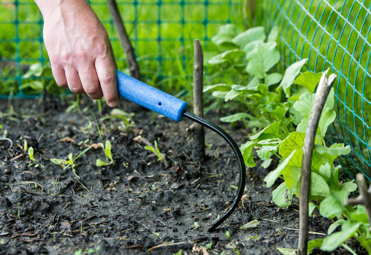 CobraHead Original Weeder and Cultivator garden tool with curved metal blade and ergonomic handle for weeding and soil cultivation.