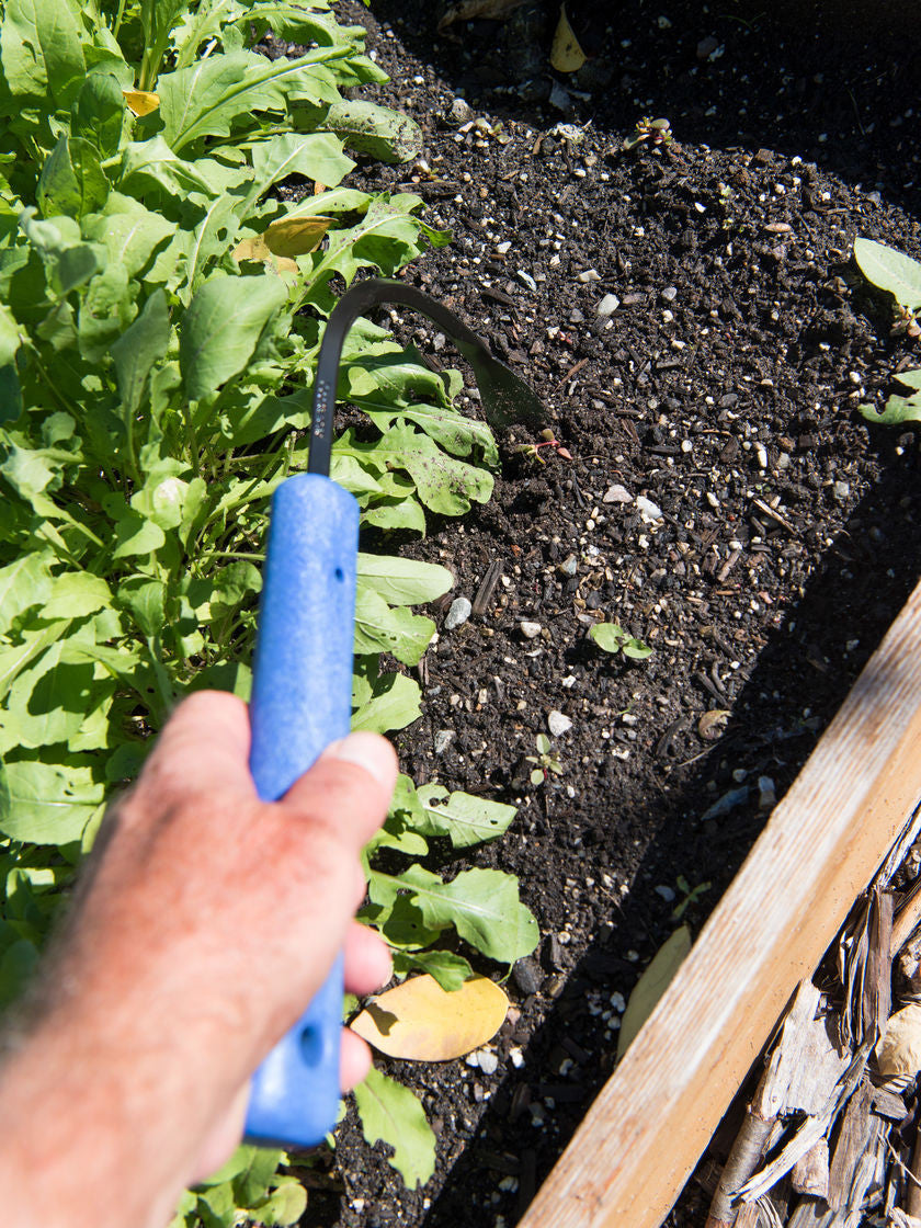 CobraHead Original Weeder and Cultivator garden tool with ergonomic handle and curved metal head for weeding and cultivating soil.