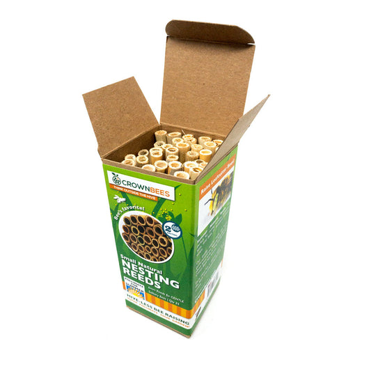 Natural summer reeds for leaf bees, 6mm, by CrownBees, showing bundled organic reeds for bee nesting in a close-up shot.