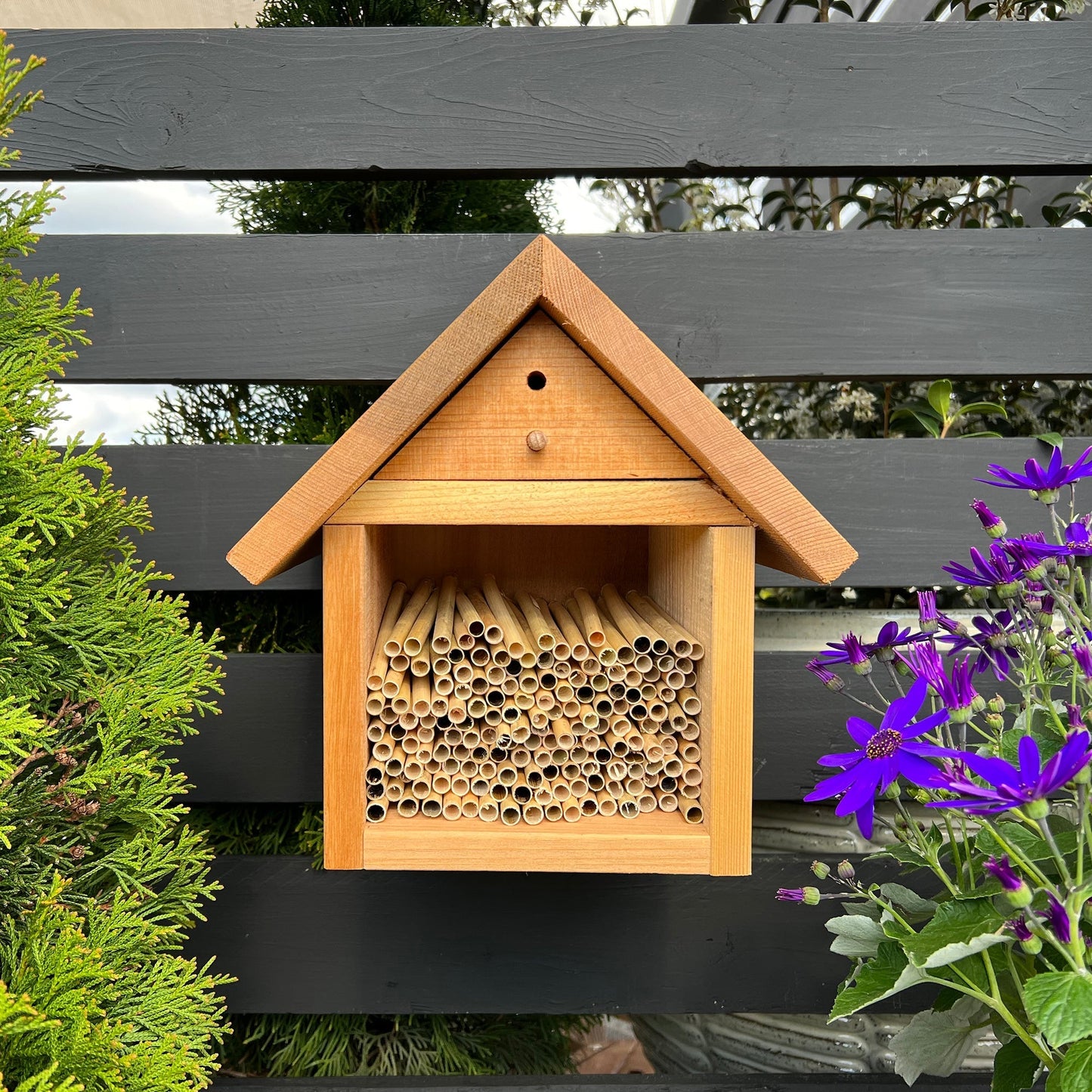 Natural summer reeds for leaf bees, 6mm size, by CrownBees, showing stacked, lightweight reeds suitable for bee nesting.